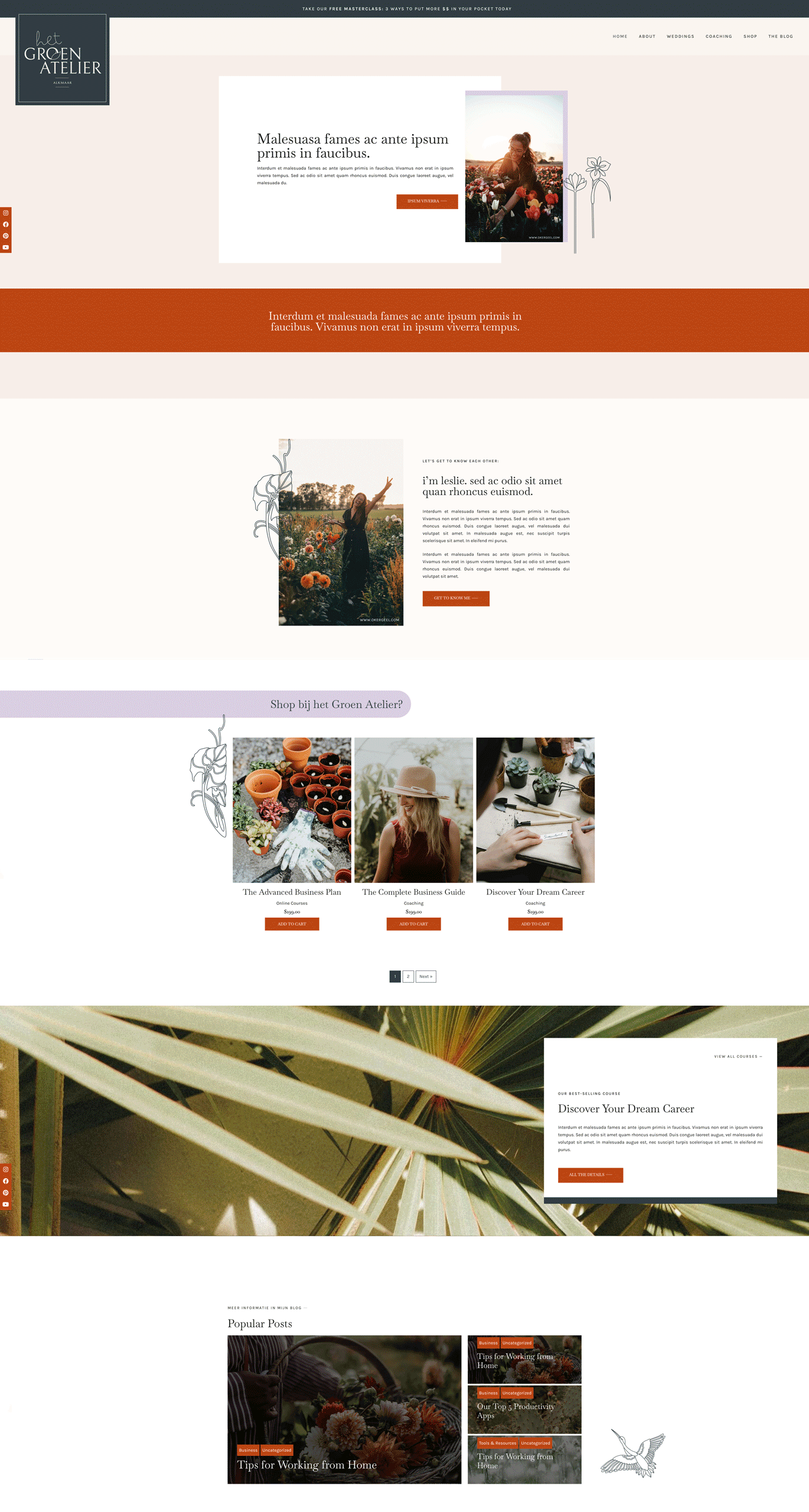 website template basic branding